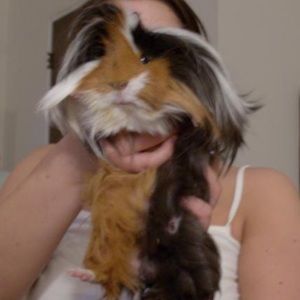 Meet your Posher, Mary